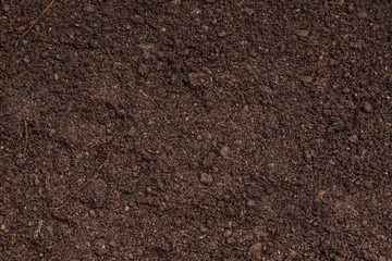 Dark brown fertile soil with peat and black soil - background for agriculture