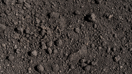 Black earth, ideal natural fertile soil for agriculture close up
