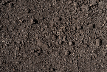 Black earth, ideal natural fertile soil for agriculture close up