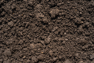 Dark brown crushed lowland peat, fertilizer and soil component - background for agriculture