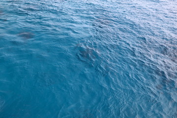 Bleue marine