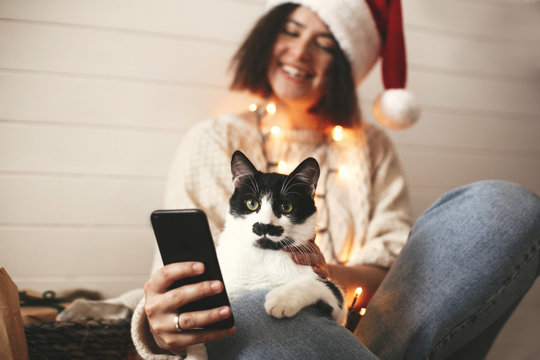 Cute Cat Looking At Phone Screen With Funny Emotions And Sitting On Happy Girl Legs In Christmas Lights. Young Hipster Woman In Santa Hat Hugging Kitty And Making Selfie. Merry Christmas