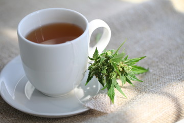hemp tea .  medical cannabis leaf