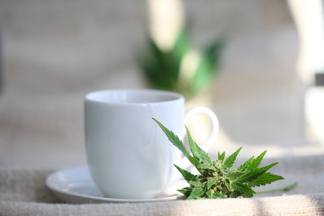 hemp tea .  medical cannabis leaf