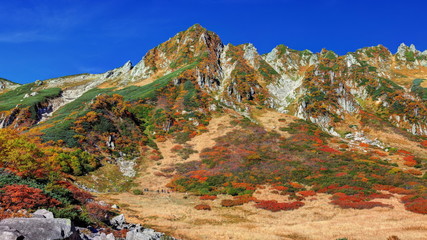 錦秋の千畳敷カールと宝剣岳