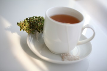 hemp tea .  medical cannabis leaf