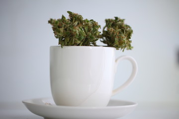 hemp tea .  medical cannabis leaf