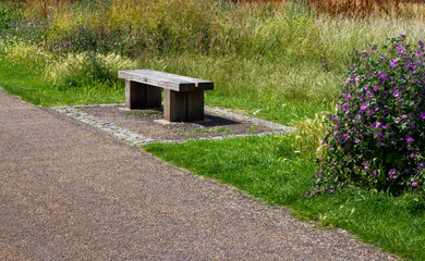 Empty wooden bench on the side of a road next to a meadow