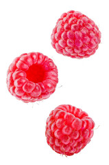 Raspberry on a white isolated background