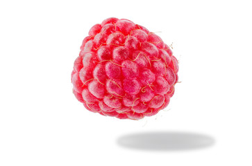 Raspberry on a white isolated background