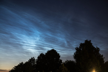 Night sky above trees with noctilucent clouds