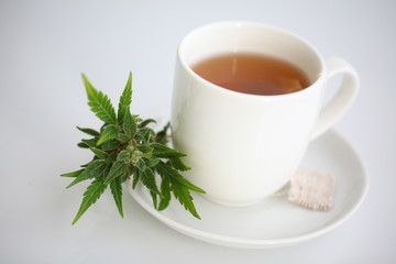 hemp tea .  medical cannabis leaf