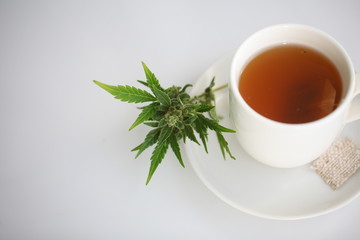 hemp tea .  medical cannabis leaf