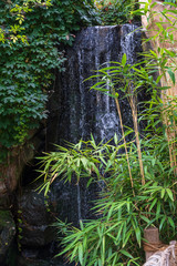 Fototapeta premium Wasserfall mit Bambus