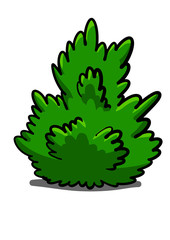 Hand drawn doodle bush isolated on white background for coloring book. Vector illustration.