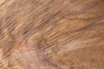 Schöne Holzstruktur eines gefällten Baumes mit Holzmaserung und feinen Details, viel schöner Patina und Vintage-Style als Dekoration oder Inneneinrichtung