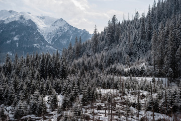 winter mountain landscape, resort Yasna, Tatras, Slovakia.