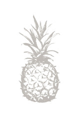 Pineapple pencil drawing icon. Tropical exotic fruit shape pattern. Outline icon. Vector graphics