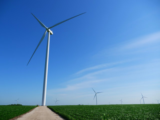 Fototapeta premium Wind Turbines in a Green Farm Field
