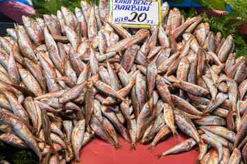 Fresh fishes sold in fish market