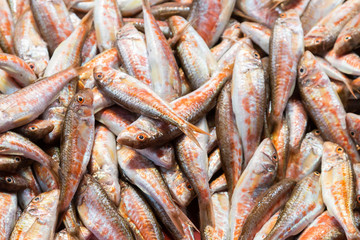 Fresh fishes sold in fish market