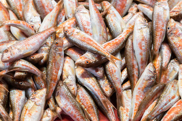 Fresh fishes sold in fish market