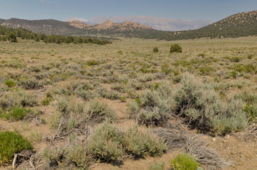 Banner Ridge and the White Mountains scenic view from Benton Crossing road (Mono county, California, USA)