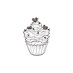 hand drawn cupcakes