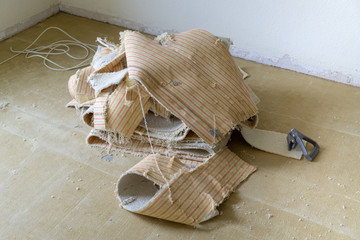 cut carpet on the floor - renovation of the house