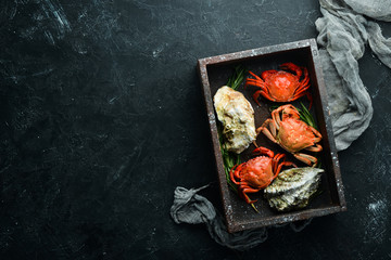 Seafood. Crabs and oysters. Top view. Free space for your text.