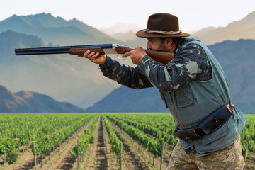Hunter with a german drathaar and spaniel, pigeon hunting with dogs
