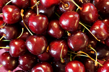Large juicy berries of a sweet cherry covered with drops of water. Background.