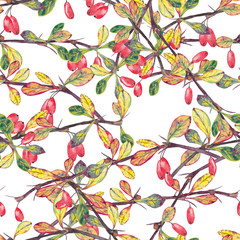 Seamless pattern with realistic autumn branches of barberry.