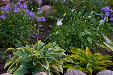  wonderful world around us