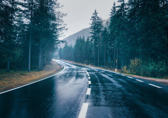 Road in the summer foggy forest in rain. Landscape with perfect asphalt mountain road in overcast rainy day. Roadway with reflection and green trees in fog. Vintage style.  Empty highway. Travel