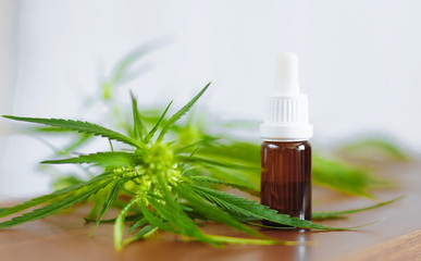 Bottle of Hemp CBD oil. Medical marijuana products including cannabis leaf, CBD and hash oil,...