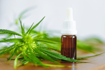 Bottle of Hemp CBD oil. Medical marijuana products including cannabis leaf, CBD and hash oil, alternative medicine