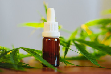 Bottle of CBD oil on cannabis background. Medical cannabis with extract cbd. Wellness Hemp Cannabidiol. Premium marijuana products