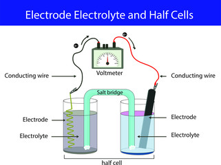 Electrode electrolyte and half cell. chemistry lesson electrode topic