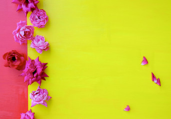 Roses on bright yellow background with copy space.
