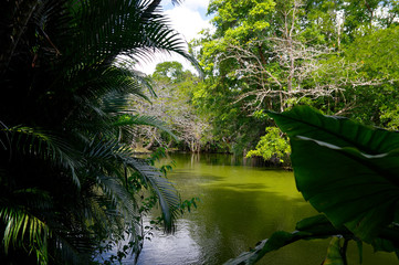 The Sir Seewoosagur Ramgoolam Botanical Garden. This is a popular tourist attraction and the oldest botanical garden in the Southern Hemisphere.