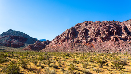 View of rock formations and flora in Red Rock Canyon National Recreation Area