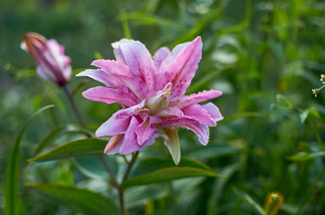  wonderful world around us