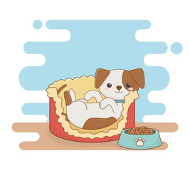 cute little dog mascot in bed with food