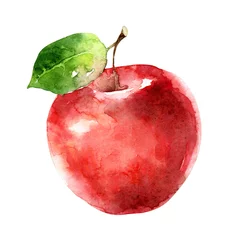 Fotobehang Watercolor red apple isolated on white background © mika_48