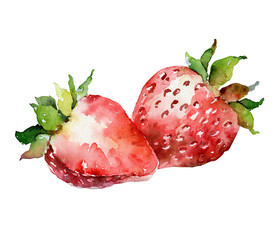 Watercolor strawberry isolated on white background - 280101331
