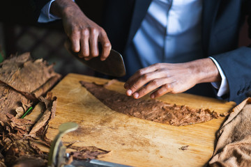 Process of making traditional cigars from tobacco leaves with hands using a mechanical device and press. 