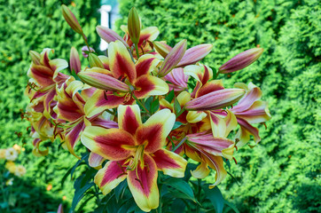  wonderful world around us