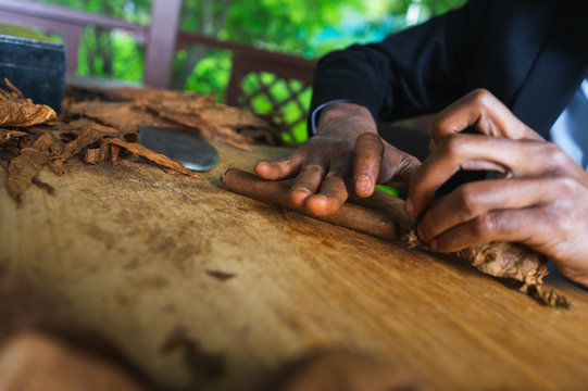 Process of making traditional cigars from tobacco leaves with hands using a mechanical device and press. 