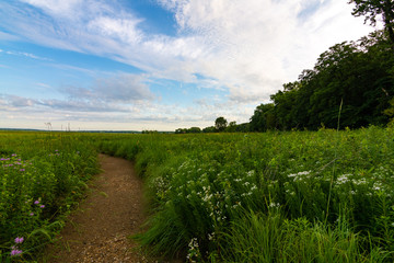 Dirt path at sunrise